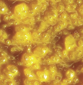 3" Deep FRP Step Covers (1" Nose)